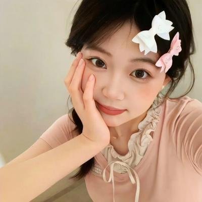当哈维遇见鲍勃