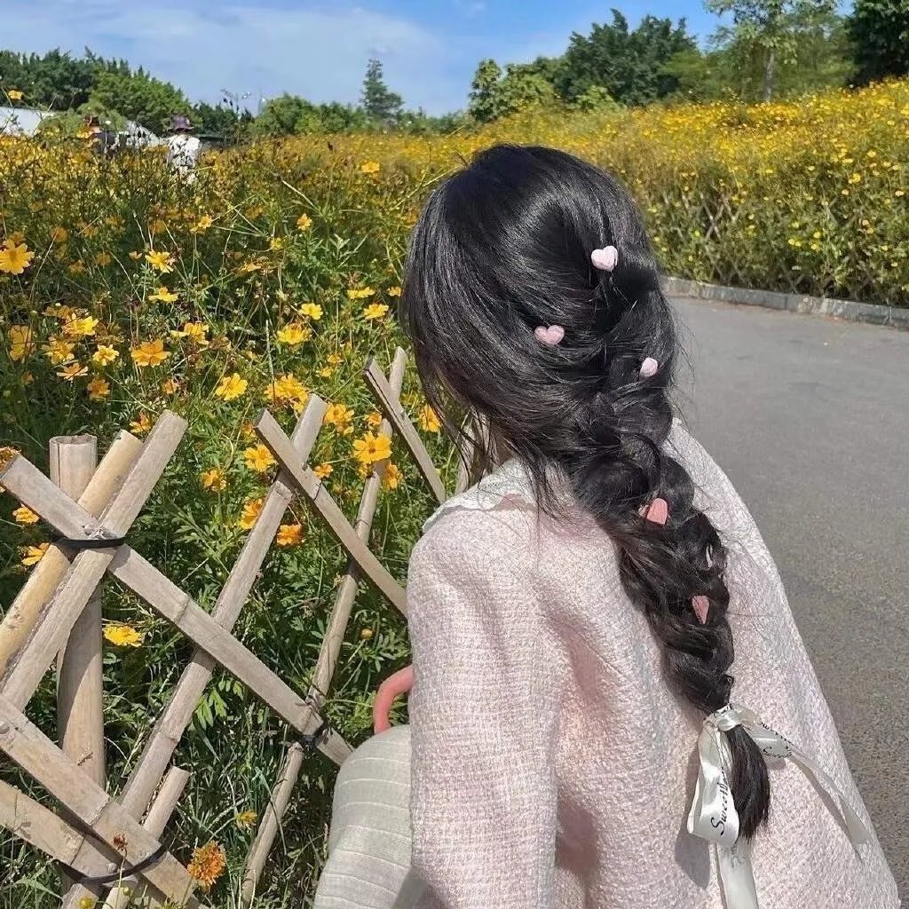 海龟故事